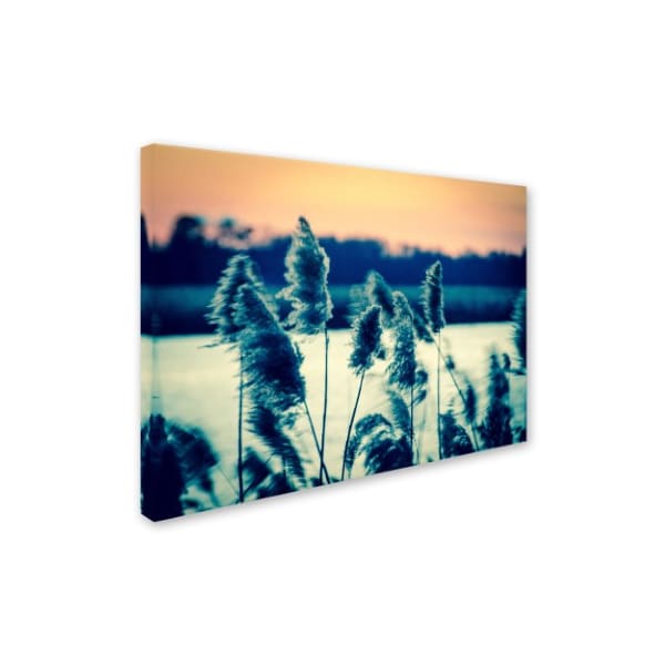 PIPA Fine Art 'Sunset On The Marsh 2' Canvas Art,14x19